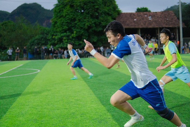能够合法
